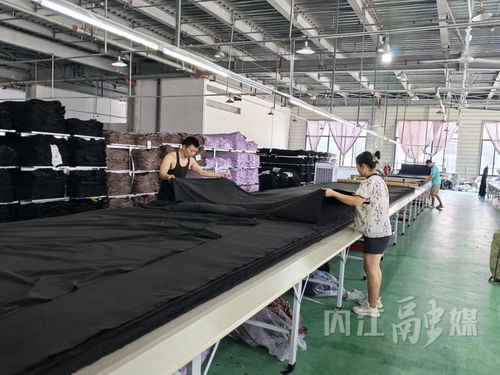 宅兹资中 乐以发和 轻工纺织业 不轻 资中县打出 组合拳 壮大产业集群
